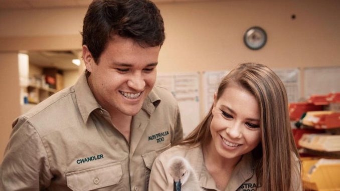 Bindi Irwin and Chandler Powell