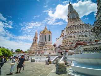 Thailand Suitable Plant Variety