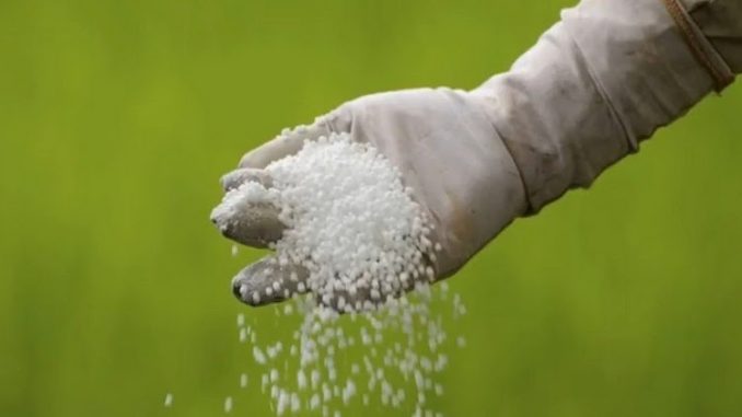 disadvantages of chemical fertilizers disadvantages of chemical fertilizers