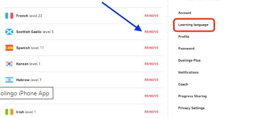How To Delete A Language On Duolingo