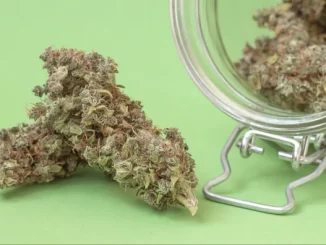 Are Cannabis Concentrates Highly Potent and Effective?