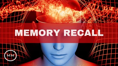 Memory Recall Memory Recall